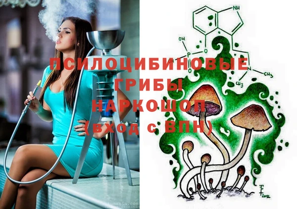 мдма Гусиноозёрск
